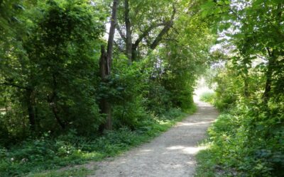 Nature Stroll at Veterans Park