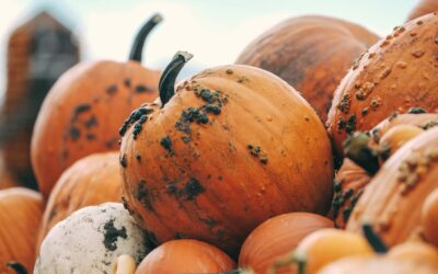 Best Fall Activities in Richfield