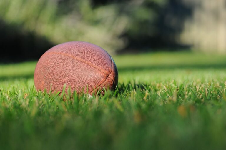 A Quick Guide to Minnesota & Richfield Sports Teams
