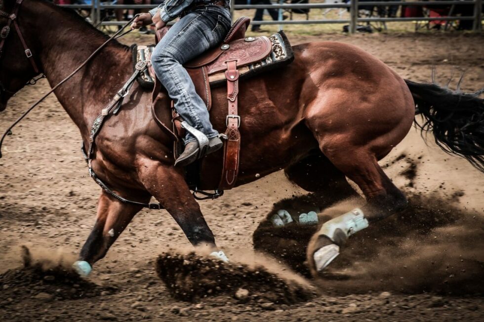 Cinch World’s Toughest Rodeo - Visit Richfield