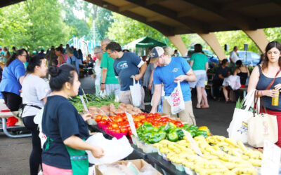 Richfield Farmers Market: James Ryan and the Harmony Valley Boys