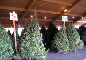 Holiday Tree and Wreath Sales with Santa!