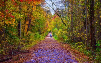 Fall Colors Photography Hike