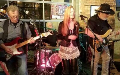 Live Music: The Bird Dogs