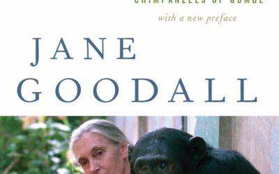 Wood Lake Nature Center Book Club:  Through a Window by Jane Goodall