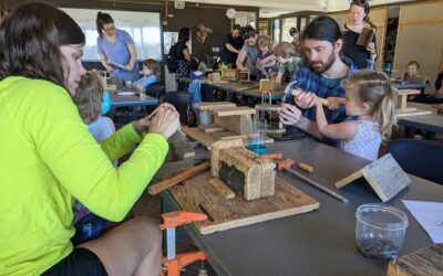 Build a Bird Feeder