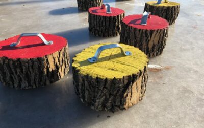 Curling Day Minnesota