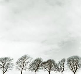 Wood Lake Nature Center Book Club: Journal of a Prairie Year