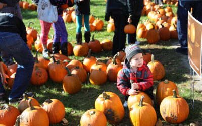 20th Annual Great Pumpkin Giveaway