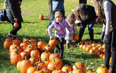 Spooktacular Fun on a Budget: 7 Cheap (or free!) Ways to Celebrate Halloween in Richfield