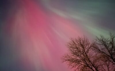 Boreal Stargazing Night