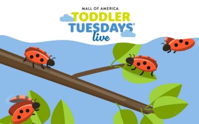 Toddler Tuesdays Live:  Ladybug Release