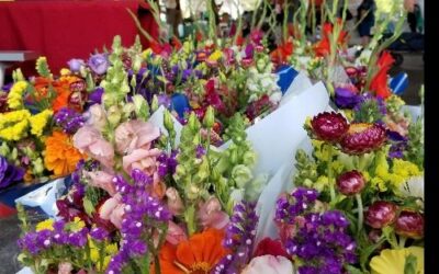 Richfield Farmers Market Season Kickoff