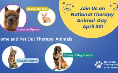 National Therapy Animal Day