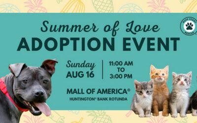 Summer of Love Adoption Event with Ruff Start Rescue