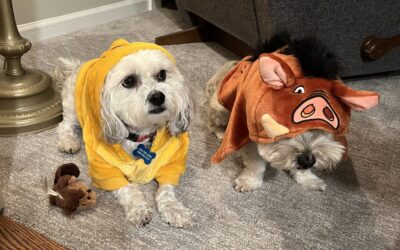 Dog Park Costume Party